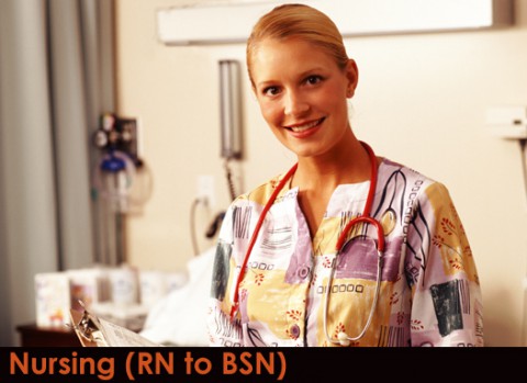 rn to bsn online