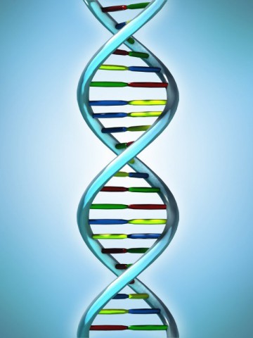 dna