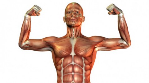 3d imaging technology in healthcare