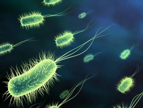 healthcare associated illness