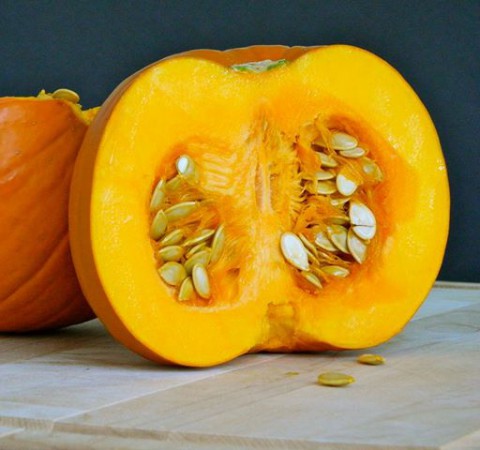 pumpkin