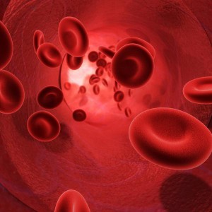 creating blood vessels