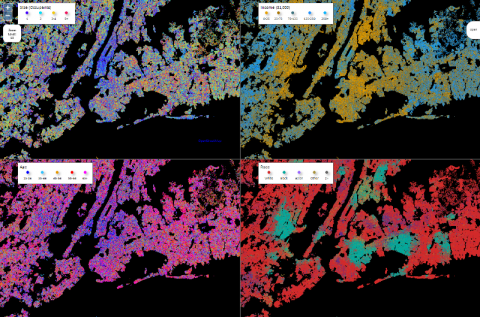 Synthetic Population Viewer