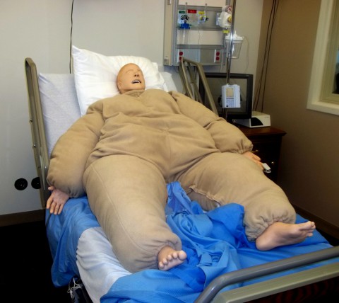 obesity suit