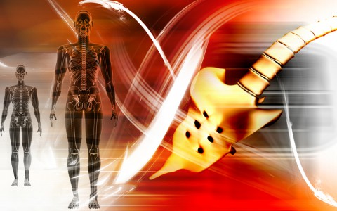 Human Body