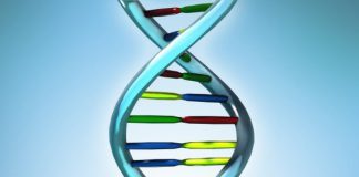 dna