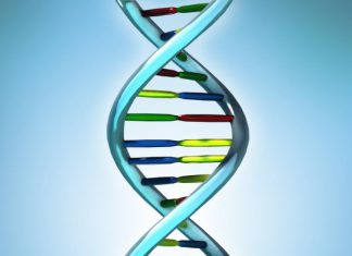 dna