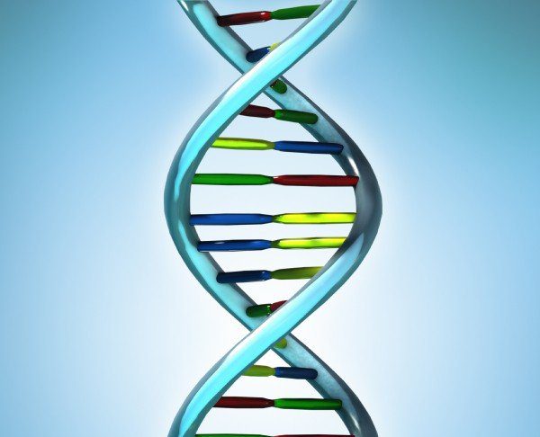 dna