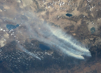 rim fire smoke