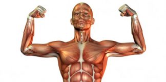 3d imaging technology in healthcare