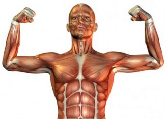 3d imaging technology in healthcare