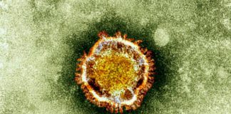 MERS