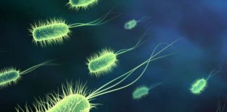 healthcare associated illness