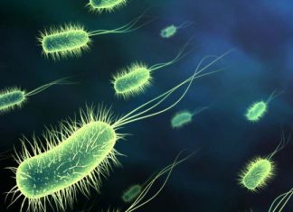 healthcare associated illness