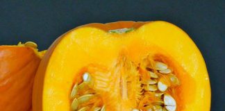 pumpkin