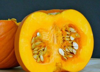 pumpkin