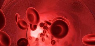 creating blood vessels