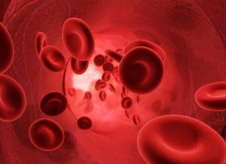 creating blood vessels