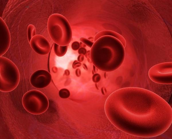 creating blood vessels