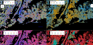 Synthetic Population Viewer