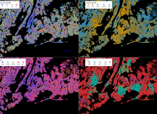 Synthetic Population Viewer