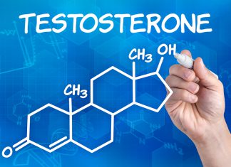 testosterone