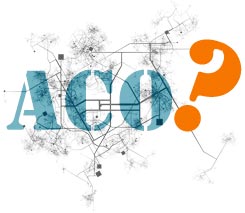 accountable care organizations