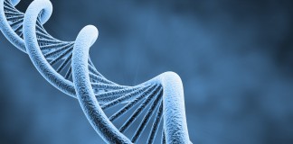 DIY DNA Testing