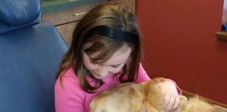 dental service dog
