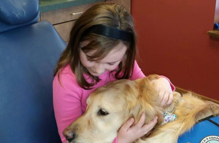 dental service dog