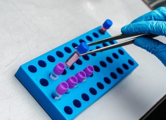 regenerate brain cells