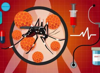 Combat Zika Virus