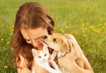 Animal Interaction