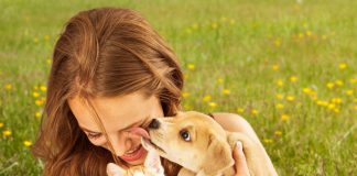 Animal Interaction