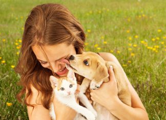 Animal Interaction