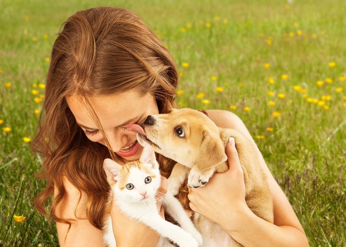 Animal Interaction