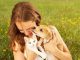 Animal Interaction